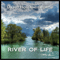 River Of Life - Hollandsworth, David (David Hollandsworth)