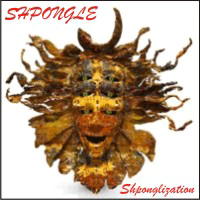 Shponglization - Shpongle (Simon Posford & Raja Ram)