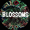 You Pulled A Gun On Me (Single) - Blossoms