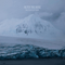 Filter The Noise - White Bear Polar Tundra