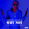 Why Not (Single) - Young Dolph (Adolph Thornton, Jr.)