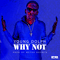 Why Not [Single] - Young Dolph (Adolph Thornton, Jr.)