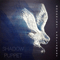 Shadow Puppet - Goodnight Parliament