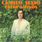Entre Amigos - Camilo Sesto (Camilo Blanes Cortés)