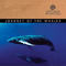 Natural Wonders: Journey of the Whales - David Arkenstone (Arkenstone, David)