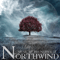 Northwind - BrunuhVille (Bruno Miguel Correia Jose)