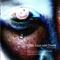 Axolotl Eyes (CD 2: Flies, Guys And Choirs)