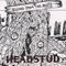 Rinsing From The Roots - Headstud