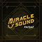 Payday (Single) - Miracle Of Sound (Gavin Dunne)