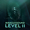 Level 11 - Miracle Of Sound (Gavin Dunne)