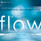 In The Flow - DeMaria, Michael (Michael DeMaria / Michael Brant DeMaria)