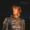 Stray (Single)