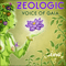 Voice of Gaia (EP) - ZeoLogic