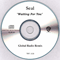 Waiting For You [Global Radio Remix] (CD Single Promo) - Seal (Samuel Henry Olusegun Adeola)