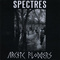 Arctic Flowers/Spectres (Split) - Arctic Flowers