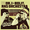 Dr.I-Bolit and Ras Orchestra Family - Rasta Orchestra (Rasta Orchestra Family)