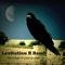 Moonlight In Your Pocket - Levitation B Band