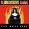 Fire Water Burn (Promo Single) - Bloodhound Gang (The Bloodhound Gang)