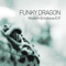 Modern Emotions [EP]-Funky Dragon (Igor Cuculovic)