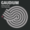 Inside The Box & Torn Melodies [EP] - Gaudium (Andreas Wennerskold)