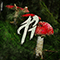 Beware the Forest's Mushrooms