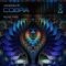 Cobra [Single] - Windom R