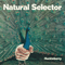 Natural Selector - Huckleberry