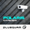 Stabilizer [EP] - Polaris (FRA) (Arnauld Stengel)