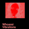 Vibrations - Whoarei (Michael Brownd)