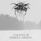 Caravan of Broken Ghosts (Single) - Darkthrone (ex-