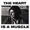 The Heart Is A Muscle (Radio Edit)