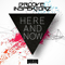 Here & Now [EP] - Groove Inspektorz (James Seibold, Jean-Christophe Bonnemains)