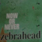 Now Or Never (Single) - Zebrahead