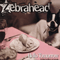 Hello Tomorrow (Single) - Zebrahead