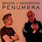 Penumbra (feat.) - Michael Brook (Brook, Michael)