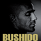 Das Horbuch - Liest Bushido (CD 3) - Bushido (Sonny Black / Anis Mohamed Youssef Ferchichi)