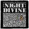 Night Divine - Fallon, Brian (Brian Fallon)