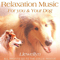 Relaxation Music for You and Your Dog
