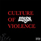 Culture of Violence