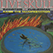 Pusherman - Live Skull
