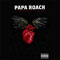 Live And Murderous In Chicago - Papa Roach