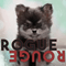 Rogue Rouge
