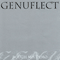 Rough Mix Demo - Genuflect