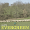 Evergreen - Calcutta
