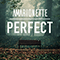Perfect (Single) - Amarionette