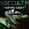 Warning Games - Hocculta