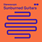 Sunburned Guitars (feat.) - François Poggio (Francois Poggio)
