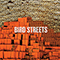 Bird Streets - Bird Streets (John Brodeur)