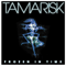 Frozen In Time - Tamarisk