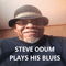 Steve Odum Plays His Blues - Odum, Steve (Steve Odum)